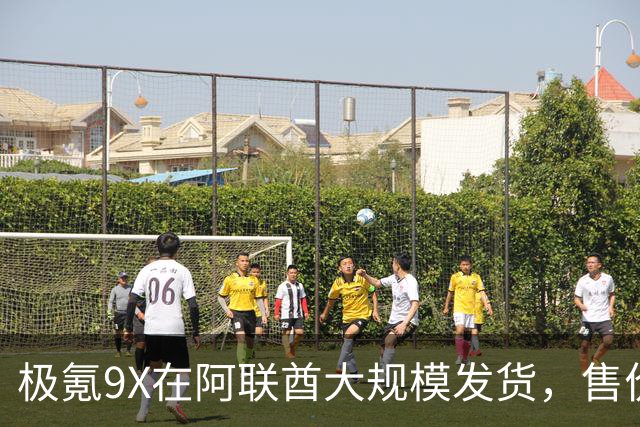 极氪9X在阿联酋大规模发货，售价超80万元成豪华标杆